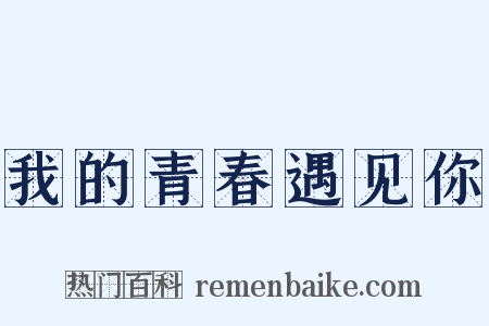 我的青春遇见你是什么意思的图片